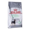 Royal Canin Mini Digestive Care 8kg