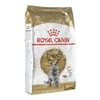 Royal Canin British Shorthair 10kg