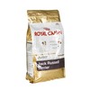 Royal Canin Jack Russell Terrier Junior 1,5kg