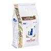 Royal Canin VD Cat Gastro Intestinal 4kg