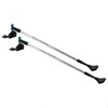 NILS Extreme Šiaurietiško ėjimo lazdos Nordic Walking NW602
