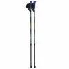 VIKING RUTEN PRO NORDIC WALKING POLES Mėlynas/LIME