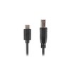 LANBERG laidai USB-C M ->USB-B M 2.0 3 m