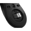 Lenovo | Belaidė pelė žaidimams | Legion M600 | Optinė pelė | 2.4 GHz, Bluetooth or su laidu by USB 2.0 | Juodas | 1 year(s)