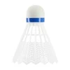 Nailoniniai badmintono plunksniukai Wish S-350 6vnt.