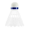 Nailoniniai badmintono plunksniukai Wish S-360 3vnt.
