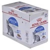 FHN Cat Indoor Jelly 12x85 g