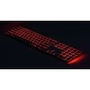 Klaviatūra Matias RGB (FK318PCLBB)