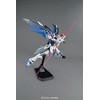 Bandai MG 1/100 FREEDOM GUNDAM VER.2.0 BL