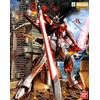 Bandai MG 1/100 SWORD IMPULSE GUNDAM BL