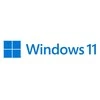Programinė įranga su USB raktu Microsoft Windows 11 Home, 64 bitai (Tarptautinė versija)