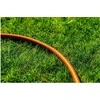 Neo Tools Sodo žarna 1/2" x 50 m, 4-warstwowy NEO ECONOMIC