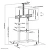 Laikiklis NeoMounts mobilus plokščiaekranis grindų stovas (aukštis: 128-160 cm), 60-100", c:Juodas