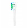 Oclean Plague Control Šepetėlio galvutė W02 Baltas 2 pcs