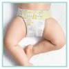 Pampers Premium Care Tape Sauskelnės, 4 Dydis, 68 vnt.