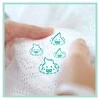 Pampers Premium Care Tape Sauskelnės, 4 Dydis, 68 vnt.