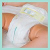 Pampers Premium Care 3 60 vnt