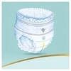 Sauskelnės-Kelnaitės PAMPERS Premium Care Pants, Value Pack, 5 dydis (12-17kg), 34 vnt.