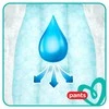 Sauskelnės-kelnaitės PAMPERS Premium Pants, Value Pack, 3 dydis, 48 vnt.