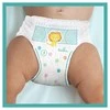 Pampers Active Baby Pants Sauskelnės-Kelnaitės - Šunyčių patrulių leidimo, 6 dydis, 14-19kg, 60 vnt.