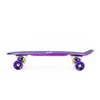 PNB01 RAINBOW ELECTROSTYLE PENNYBOARD NILS EXTREME