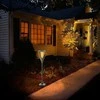 Lubinis šviestuvas PowerNeed solarna lampa ogrodowa PEARL 100lm