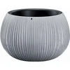 Prosperplast Gėlių vazonas Beton Bowl 19x29cm Pilka
