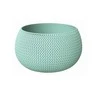 Prosperplast Vazonas Splofy Bowl Žalias 16x24cm