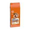 Purina Nestle Sausas Šunų Maistas - Purina Dog Chow Mature Senior Su Ėriena
