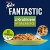 Purina Nestle Drėgnas Kačių Maistas - Purina Felix Fantastic Triušiena Želėje 85g