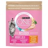 Purina Nestle One Bifensis Junior – sausas kačių maistas – 800g