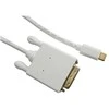 USB-C į DVI video adapteris 2m