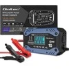 Qoltec 52482 vehicle battery charger 12/24 V Juodas, Mėlyna