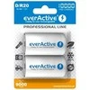 Akumuliatorius - Everactive R20/D Ni-MH 10 000 mAh