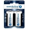 EverActive LR20 D baterijos pakuotėje
