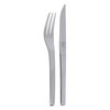 Stalo įrankių rinkinys ZWILLING SPECIALS STEAK 07150-312-0, 12 vnt.