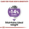 Royal Canin Adult Mini sterilizuotas 1kg