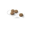 Royal Canin Adult Mini sterilizuota 3kg