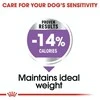 Royal Canin Adult Mini sterilizuota 3kg
