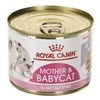 Royal Canin FHN Cat Babycat Instinctive Mousse 195 g