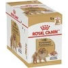 ROYAL CANIN BHN Shih Tzu Adult pašteto pavidalu - šlapias ėdalas suaugusiems šunims - 12 x 85 g