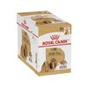 ROYAL CANIN BHN Shih Tzu Adult pašteto pavidalu - šlapias ėdalas suaugusiems šunims - 12 x 85 g