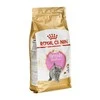 Royal Canin britų trumpaplaukis kačiukas 2kg