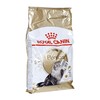 Royal Canin Persian Adult 10kg