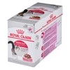 FHN Cat Instinctive Gravy 12x85 g