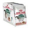 Royal Canin FHN Cat Instinctive 7+ padažas 12x85 g