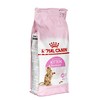 Royal Canin kačiukas sterilizuotas 2kg