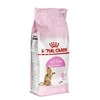 Royal Canin kačiukas sterilizuotas 2kg