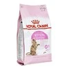 Royal Canin kačiukas sterilizuotas 2kg