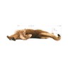 ROYAL CANIN Light Weight Care 1,5kg